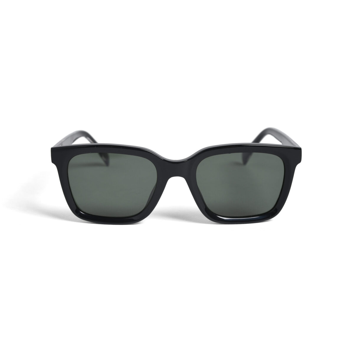 S19W10 Sunglass Black - 画像 (2)