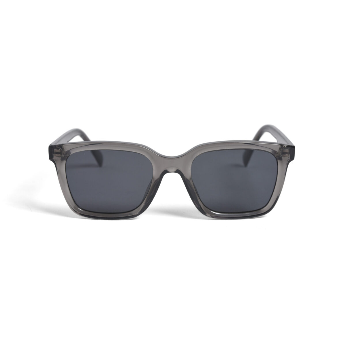 S19W10 Sunglass Clear Gray - 画像 (2)