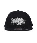 S22W6 Snap Back