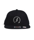 S22W9 Snap Back